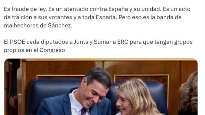PSOE JUNTS SUMAR ERC